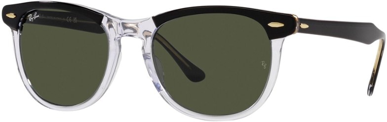 Front view of Eagle Eye Fashion Sunglasses showcasing classic design.